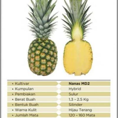 Whatsapp Image 2025 09 12 At 4.43.14 Pm 2