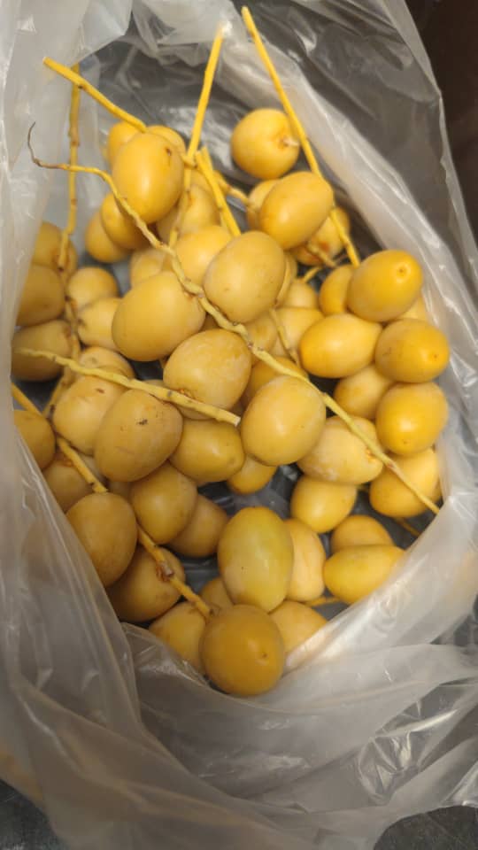 whatsapp image 2025 09 12 at 4.55.02 pm