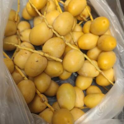 Whatsapp Image 2025 09 12 At 4.55.02 Pm