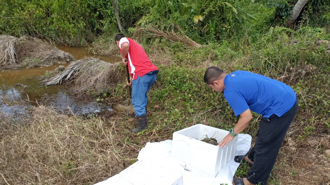 whatsapp image 2023 11 06 at 1.09.13 pm