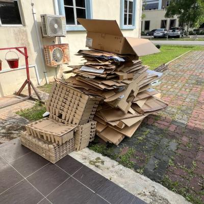 Whatsapp Image 2024 07 15 At 2.23.47 Pm 1